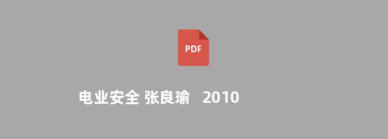 电业安全 张良瑜   2010